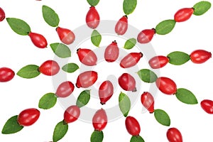 Rosehip berries isolated on white background. Flat lay pattern. Top view