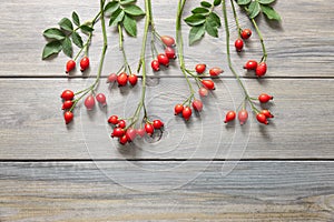 Rosehip branches with red berries on wooden table