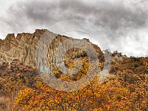 Rosehip bushes and Omarama Clay Cliffs gravel and silt formations on the South Island of New Zealand