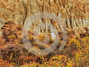 Rosehip bushes and Omarama Clay Cliffs gravel and silt formations on the South Island of New Zealand