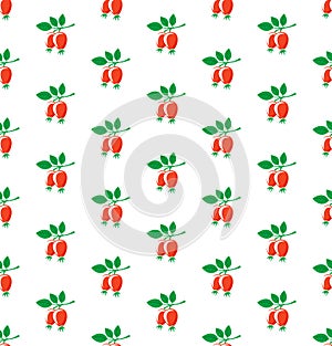 Rosehip seamless pattern. Briar symbols on white.