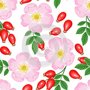 Rosehip seamless pattern. Pink flower, red berries and green leaves isolated on white background. Vector illustration of dog rose