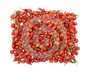 Rosehips isolated