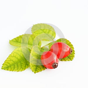 Rosehips isolated on white