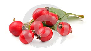 Rosehips Rosa canina fruits isolated on white background