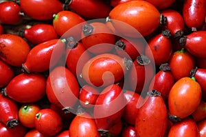 Rosehips on wooden ground