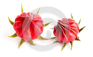 Roselle fruit isolated