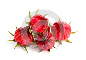 Roselle fruit isolated