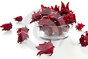 Roselle [Hibiscus sabdariffa] photo