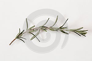 Rosemary