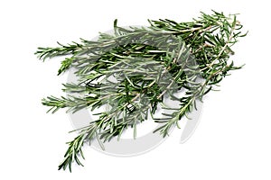 Rosemary