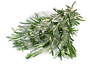 Rosemary