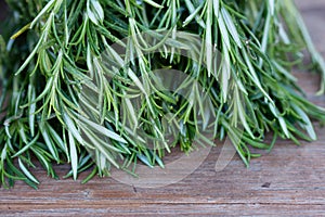 Rosemary