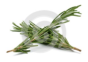 Rosemary