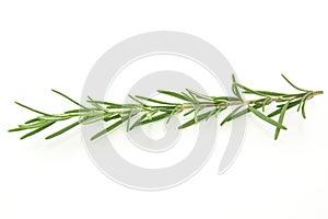 Rosemary