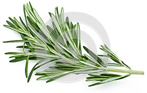 Rosemary