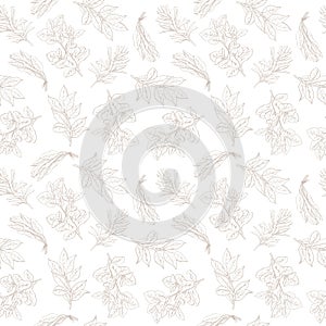 Rosemary, basil, sage, bay leaf. Seamless pattern with herbs and spices hand drawn with ink lines in doodle sketch style. Vector.