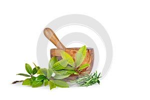 Rosemary and Bay Herb Leaves