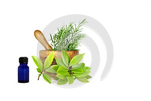 Rosemary and Bay Leaf Herbs