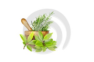 Rosemary and Bay Leaf Herbs