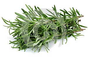 Rosemary photo