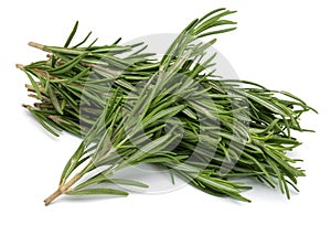 Rosemary photo