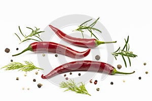 Rosemary branches, hot pepper, spice mixture isolated on a white background