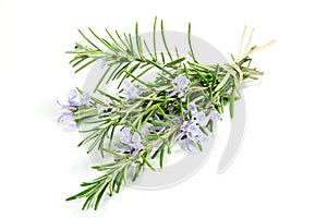 Rosemary