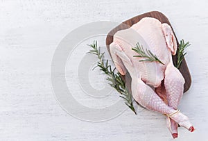 Rosemary chicken meat / fresh raw chicken whole on wooden board on white wood background