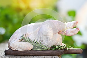 Rosemary chicken meat - fresh raw chicken whole on wooden cutting board on nature green background