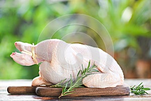 Rosemary chicken meat - fresh raw chicken whole on wooden cutting board on nature green background