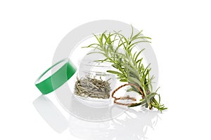 Rosemary, culinary aromatic herbs.