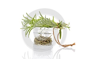 Rosemary, culinary aromatic herbs.