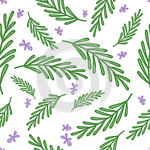 Rosemary doodle pattern