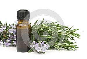 Rosemary essential oil