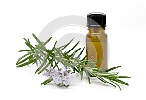 Rosemary essential oil