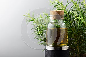 Rosemary essential oil and fresh rosemary