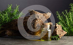 Rosemary essential oil and fresh rosemary with old snag on a stone background