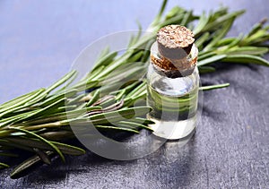 Rosemary essential oil in a glass bottle with fresh green rosemary herb on dark background.Rosemary oil for spa,aromatherapy and b