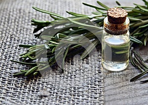 Rosemary essential oil in a glass bottle with fresh green rosemary herb on old wooden table.Rosemary oil for spa,aromatherapy and