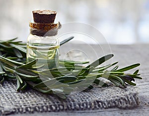 Rosemary essential oil in a glass bottle with fresh green rosemary herb on old wooden table.Rosemary oil for spa,aromatherapy and