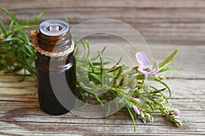 Rosemary essential oil in a glass dropper bottle with fresh green rosemary herb on old wooden table for spa,aromatherapy and bodyc