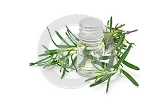 Rosemary essential oil in glass and fresh rosemary twig isolated