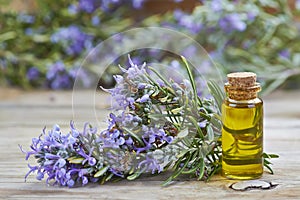 Rosemary essential oil photo