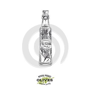 Rosemary flavoured olive oil bottle, hand drawn vector illustration. photo