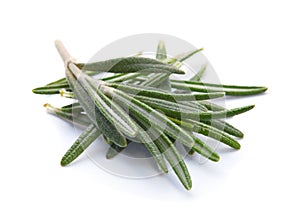 Rosemary herb