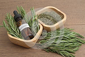 Rosemary herb and aromatherapy essential oil
