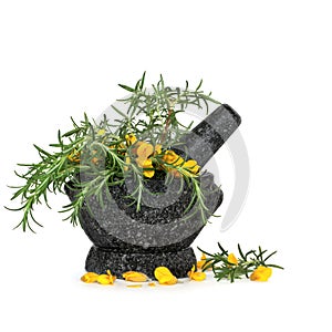 Rosemary Herb and Gorse Flowers