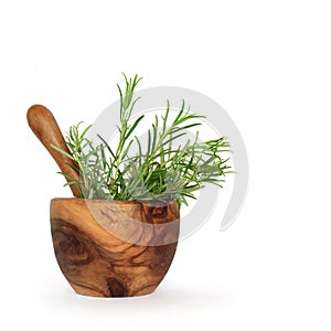 Rosemary Herb Leaves