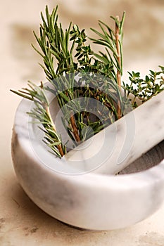 Rosemary and Herbs